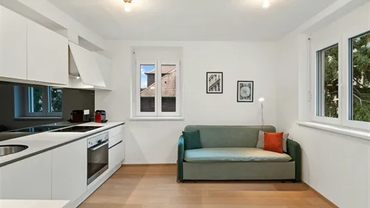 Apartments in Vienna Döbling - photo 3