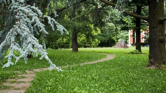 Rooms in Brescia - photo 9