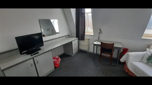 Apartments in Dresden - photo 7