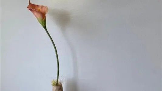 Apartments in Donnerskirchen - photo 7