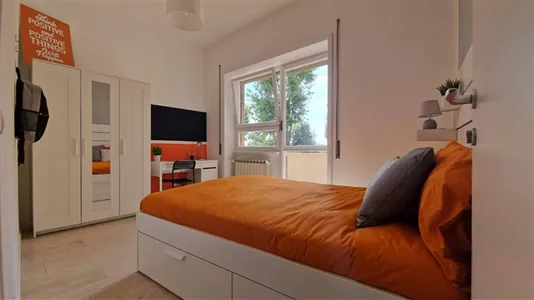 Rooms in Roma Municipio VIII – Appia Antica - photo 6