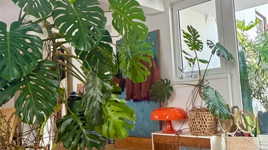 Apartments in Vienna Alsergrund - photo 5