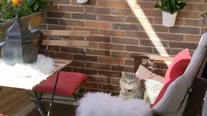 Apartment for rent in Berlin