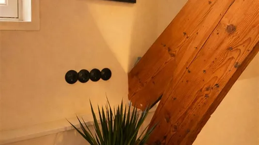 Apartments in Delft - photo 4