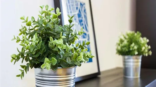 Rooms in Milano Zona 1 - Centro storico - photo 7