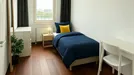 Room for rent, Rotterdam Feijenoord, Rotterdam, Maashaven Noordzijde