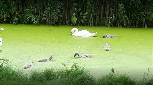 Rooms in Location is not specified - photo 10