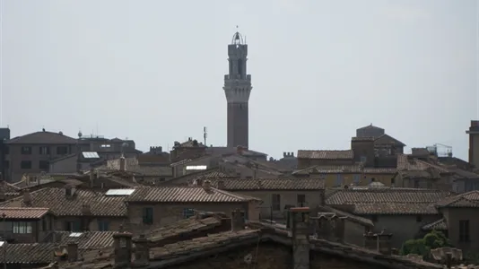 Rooms in Siena - photo 10