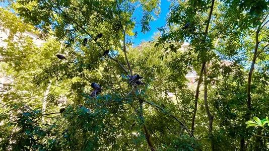 Rooms in Barcelona Eixample - photo 8