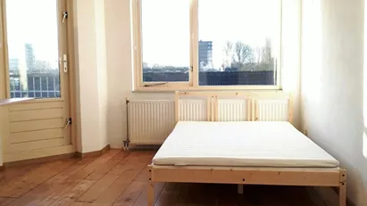 Room for rent in Rotterdam