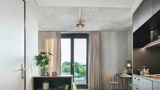 Apartments in Berlin Treptow-Köpenick - photo 4