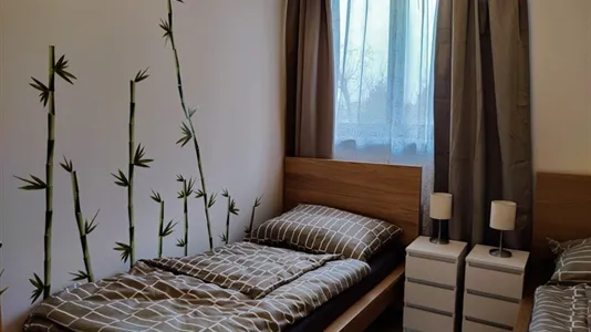 Apartments in Aderklaa - photo 5