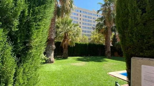 Rooms in Tavernes Blanques - photo 8