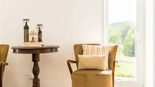 Houses in Ponte de Lima - photo 5