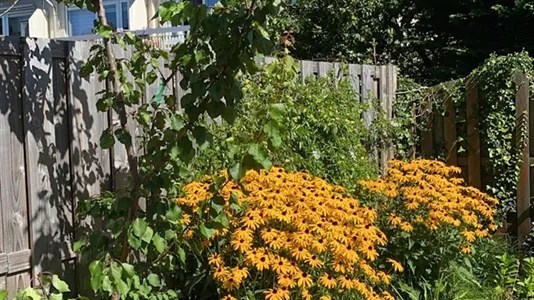 Rooms in Location is not specified - photo 9