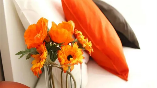 Rooms in Milano Zona 5 - Vigentino, Chiaravalle, Gratosoglio - photo 4