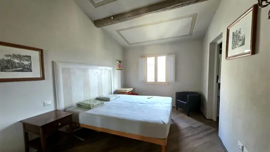 Apartments in Florence - photo 5