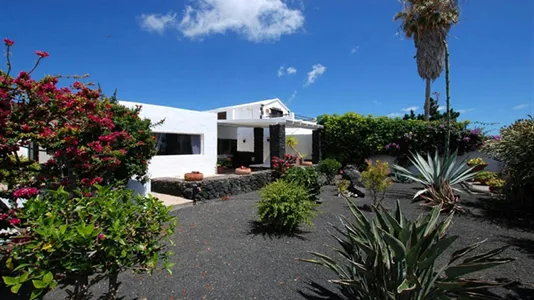 Houses in Teguise - photo 6