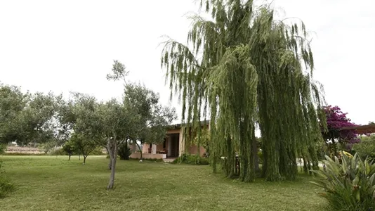 Apartments in Siracusa - photo 3