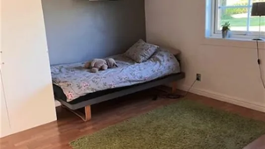 Houses in Umeå - photo 15