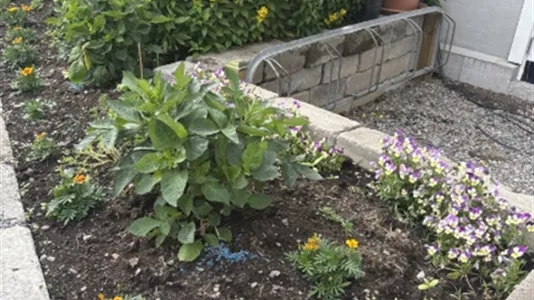 Houses in Huddinge - photo 13