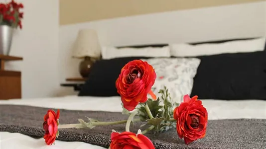 Rooms in Milano Zona 9 - Porta Garibaldi, Niguarda - photo 7