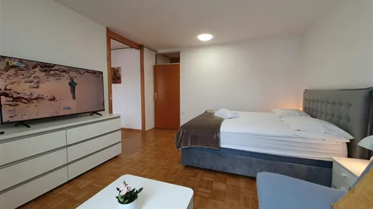 Apartments in Besnica - photo 1