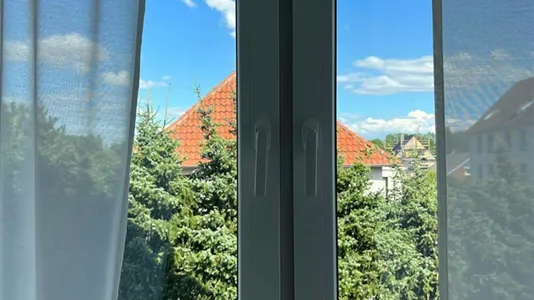 Apartments in Braunschweig - photo 6