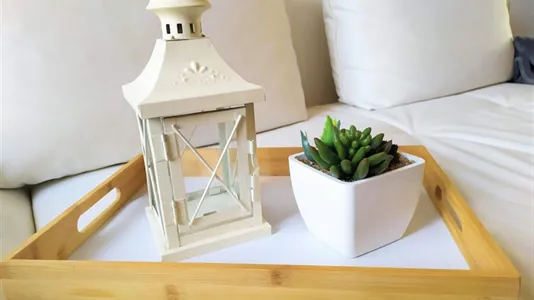 Apartments in Aachen - photo 8