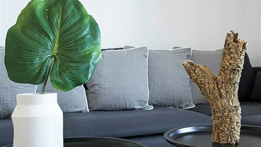 Apartments in Dusseldorf - photo 7