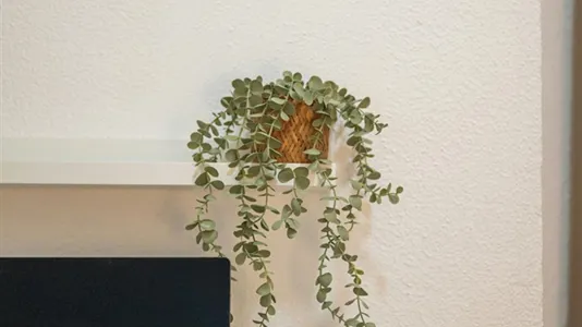 Rooms in Madrid Tetuán - photo 4