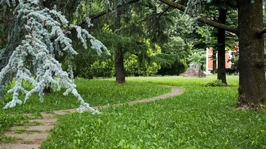 Rooms in Brescia - photo 9