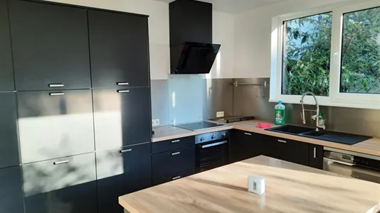 Houses in Doornik - photo 5