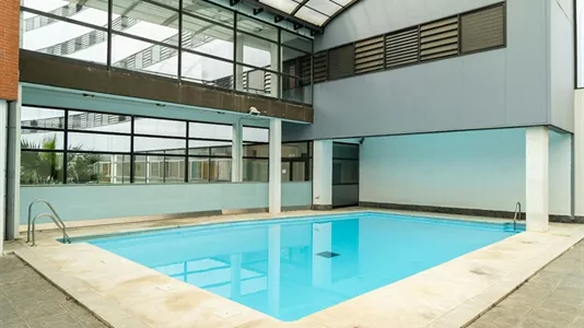 Rooms in Bami - photo 7