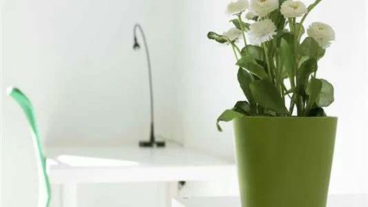 Rooms in Milano Zona 6 - Barona, Lorenteggio - photo 8