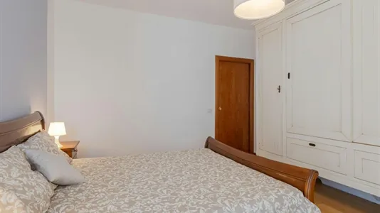 Rooms in Padua - photo 4