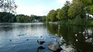 Apartment for rent, Hamburg Harburg, Hamburg, &lt;span class=&quot;blurred street&quot; onclick=&quot;ProcessAdRequest(11011408)&quot;&gt;&lt;span class=&quot;hint&quot;&gt;See streetname&lt;/span&gt;[xxxxxxxxxxxxx]&lt;/span&gt;