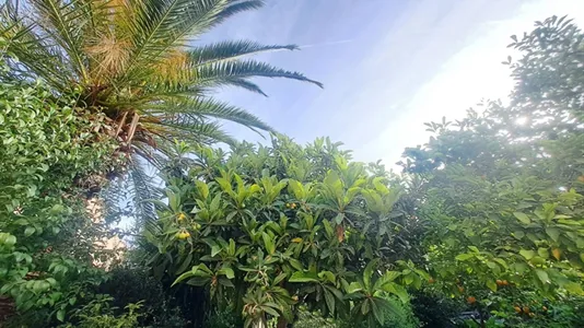 Houses in Athens Akropoli - photo 8