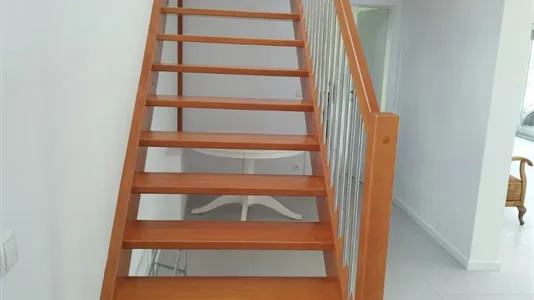 Houses in Langenzersdorf - photo 8