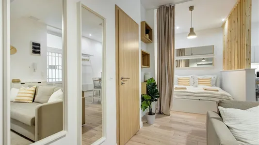 Apartments in Budapest Terézváros - photo 8