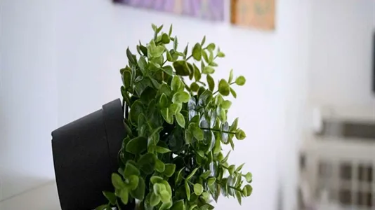 Rooms in Milano Zona 8 - Fiera, Gallaratese, Quarto Oggiaro - photo 9