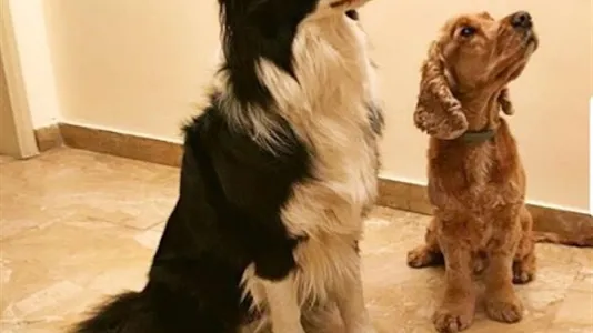 Rooms in Florence - photo 10