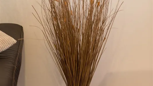 Apartments in Vienna Leopoldstadt - photo 4