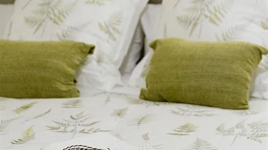 Rooms in Bilbao - photo 5