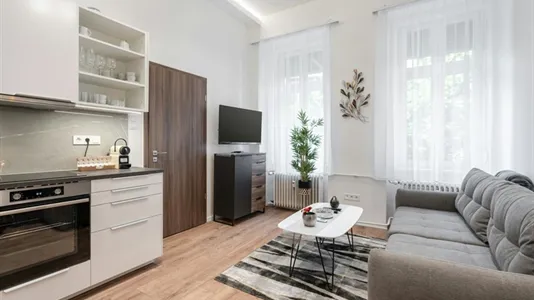 Apartments in Budapest Erzsébetváros - photo 7