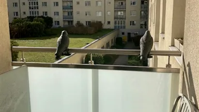 Apartment for rent in Vienna