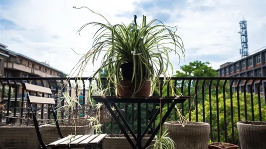 Rooms in Milano Zona 3 - Porta Venezia, Città Studi, Lambrate - photo 8