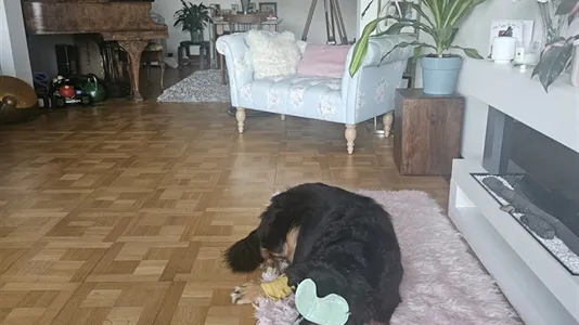 Apartments in Geneva Cité - photo 3