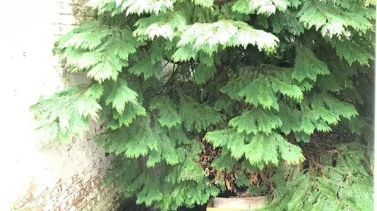 Apartments in Brussels Etterbeek - photo 8