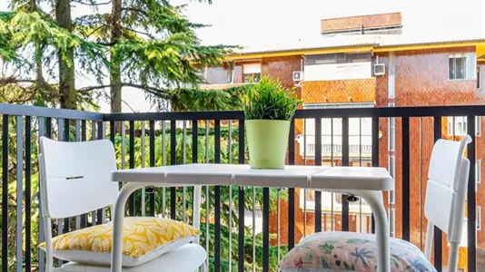 Rooms in Padua - photo 4